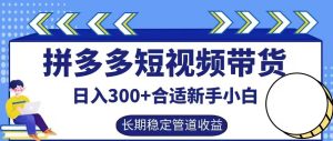 拼多多短视频带货日入300+有长期稳定被动收益,合适新手小白【揭秘】-第一资源网