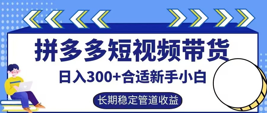 拼多多短视频带货日入300+有长期稳定被动收益，合适新手小白【揭秘】-第一资源网