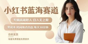 小红书蓝海赛道,圈中高端职场人,月入无上限,可矩阵,内含私域实操教程!-第一资源网