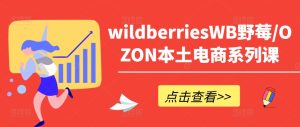 wildberriesWB野莓/OZON本土电商系列课,掌握WB产品优化,出单技巧和订单处理等-第一资源网