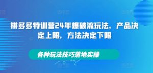 拼多多特训营24年爆破流玩法,产品决定上限,方法决定下限,各种玩法技巧落地实操-第一资源网