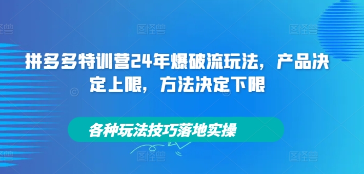 拼多多特训营24年爆破流玩法，产品决定上限，方法决定下限，各种玩法技巧落地实操-第一资源网
