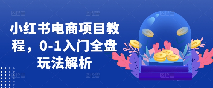 小红书电商项目教程，0-1入门全盘玩法解析-第一资源网