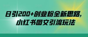 日引200+创业粉全新思路,小红书图文引流玩法【揭秘】-第一资源网