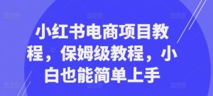 小红书电商项目教程,保姆级教程,小白也能简单上手-第一资源网