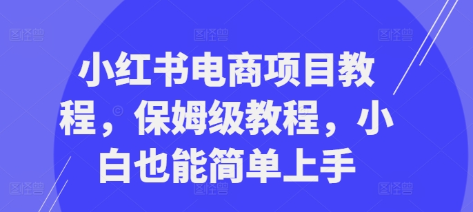 小红书电商项目教程，保姆级教程，小白也能简单上手-第一资源网
