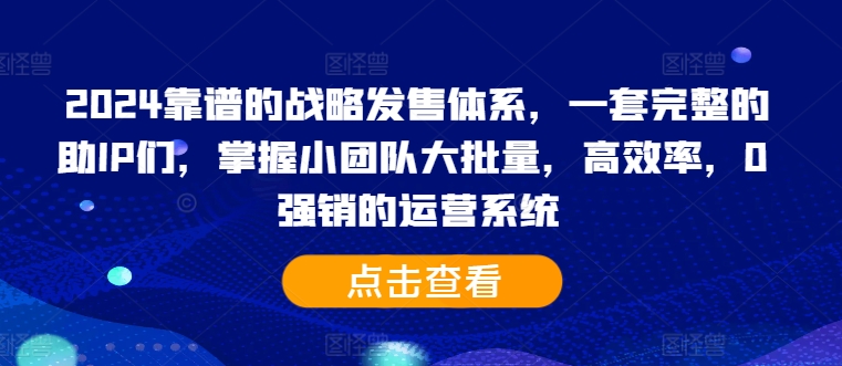 2024靠谱的战略发售体系，一套完整的助IP们，掌握小团队大批量，高效率，0 强销的运营系统-第一资源网
