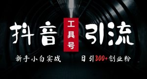 2024最新抖音工具号引流玩法,高效日引300+创业粉,当天变现5k,小白也可成为实战高手-第一资源网