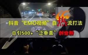抖音EMO视频自热打法,日引500+“泛垂直”创业粉-第一资源网