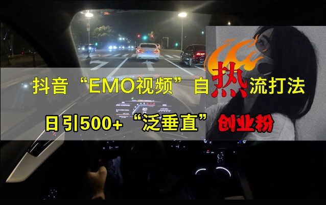 抖音EMO视频自热打法，日引500+“泛垂直”创业粉-第一资源网