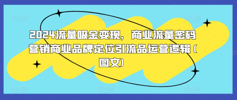 2024流量吸金变现，商业流量密码营销商业品牌定位引流品运营逻辑(图文)-第一资源网