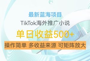 最新蓝海项目,利用tiktok海外推广小说赚钱佣金,简单易学,日入500+,可矩阵放大【揭秘】-第一资源网