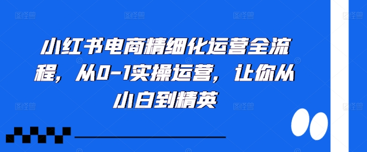 小红书电商精细化运营全流程，从0-1实操运营，让你从小白到精英-第一资源网