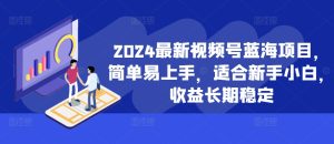 2024最新视频号蓝海项目,简单易上手,适合新手小白,收益长期稳定-第一资源网