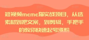 短视频meme猫实战项目,从选素材到把文案,到剪辑,手把手的教你快速起号涨粉-第一资源网