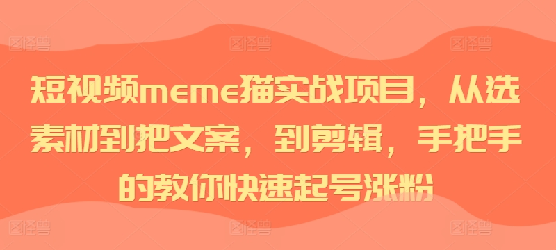 短视频meme猫实战项目，从选素材到把文案，到剪辑，手把手的教你快速起号涨粉-第一资源网