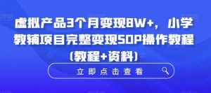 虚拟产品3个月变现8W+,小学教辅项目完整变现SOP操作教程(教程+资料)-第一资源网