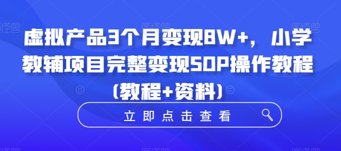 虚拟产品3个月变现8W+，小学教辅项目完整变现SOP操作教程(教程+资料)-第一资源网