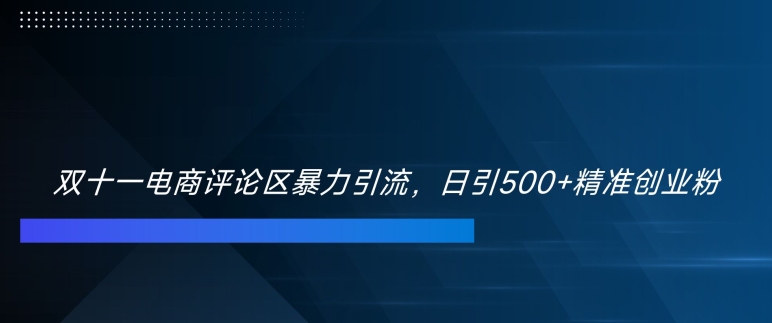 双十一电商评论区暴力引流，日引500+精准创业粉【揭秘】-第一资源网