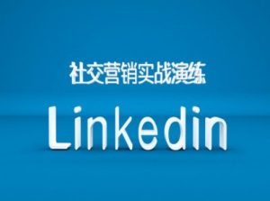 社交营销实战演练之Linkedin营销课程,B2B跨境外贸的新出路-第一资源网