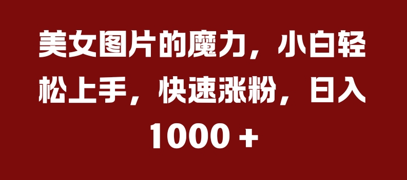 美女图片的魔力，小白轻松上手，快速涨粉，日入几张【揭秘】-第一资源网
