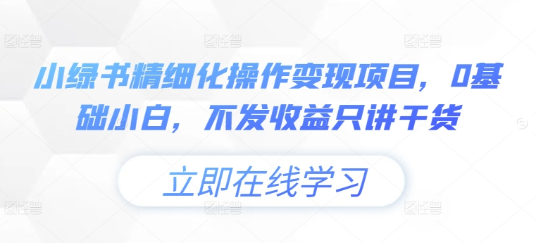 小绿书精细化操作变现项目，0基础小白，不发收益只讲干货-第一资源网
