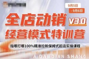 全店动销经营模式特训营,指哪打哪100%精准拉新保姆式起店实操课程-第一资源网