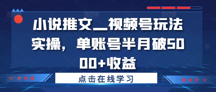 小说推文—视频号玩法实操，单账号半月破5000+收益-第一资源网