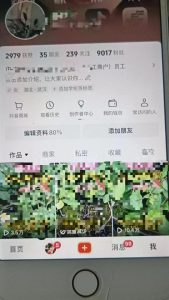 最新抖音暴力起万粉技术,一天涨万粉,发三四个作品涨近万粉-第一资源网