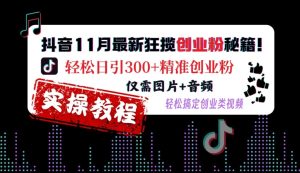抖音11月最新狂揽创业粉秘籍，轻松日引300+精准创业粉，仅需图片+音频，轻松搞定创业类视频-第一资源网