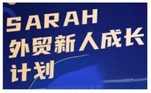 外贸新人成长计划，外贸新人学起来，偷偷让自己变强大-第一资源网