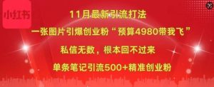 小红书11月最新图片打粉，一张图片引爆创业粉，“预算4980带我飞”，单条引流500+精准创业粉-第一资源网