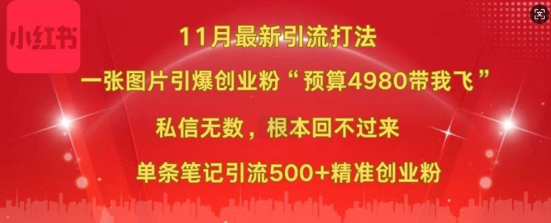 小红书11月最新图片打粉，一张图片引爆创业粉，“预算4980带我飞”，单条引流500+精准创业粉-第一资源网