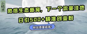 微信生态新宠小绿书：下一个流量洼地，日引500+精准创业粉，粉丝质量超高-第一资源网