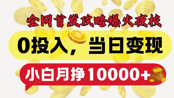 全网首发爆火夜校，0投入，当日变现，小白轻松月入1w+【揭秘】-第一资源网