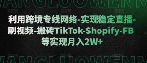 利用跨境专线网络-实现稳定直播-刷视频-搬砖TikTok-Shopify-FB等实现月入2W+【揭秘】-第一资源网