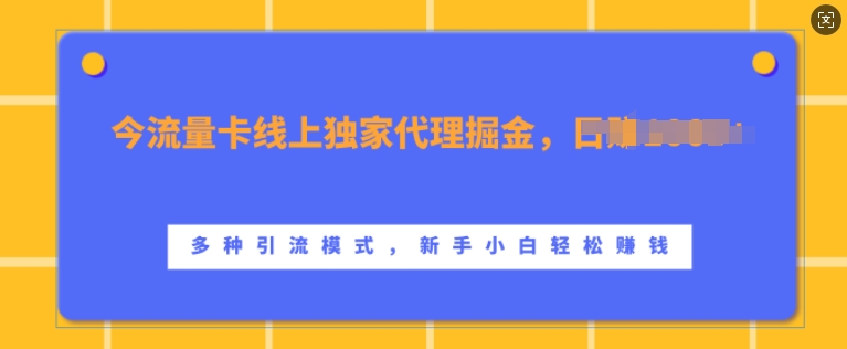 流量卡线上独家代理掘金，日入1k+ ，多种引流模式，新手小白轻松上手【揭秘】-第一资源网