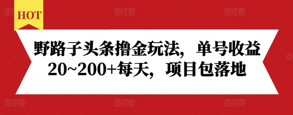 野路子头条撸金玩法，单号收益20~200+每天，项目包落地-第一资源网
