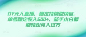 DY无人直播,稳定持续型项目,单号稳定收入500+,新手小白都能轻松月入过万【揭秘】-第一资源网