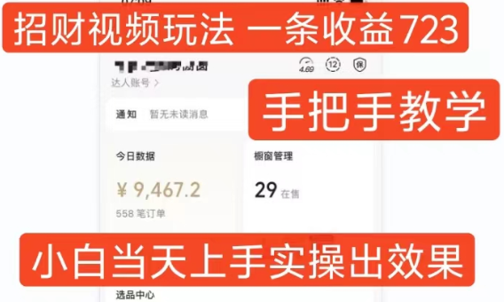 招财视频玩法，一条视频收益723，手把手教学，小白当天可上手-第一资源网