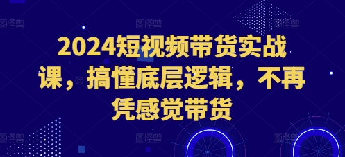 2024短视频带货实战课，搞懂底层逻辑，不再凭感觉带货-第一资源网