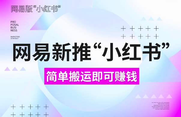 网易官方新推“小红书”，搬运即有收益，新手小白千万别错过(附详细教程)【揭秘】-第一资源网