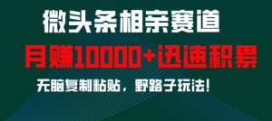 微头条相亲赛道，迅速积累，无脑复制粘贴，野路子玩法，月入1w-第一资源网