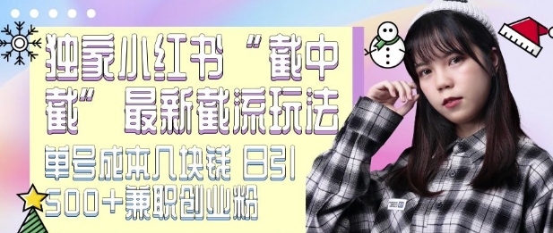 最新小红书截流玩法 独家截中截 单号成本几块钱 日引500+CY粉JZ粉-第一资源网