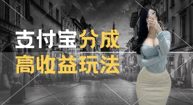 支付宝分成计划新玩法，利用交通事故视频，赚收益，轻松月入过W，操作简单【揭秘】-第一资源网