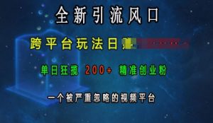 全新引流风口，跨平台玩法日入上k，单日狂揽200+精准创业粉，一个被严重忽略的视频平台-第一资源网