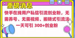 快手最新引流创业粉方法，无需养号、无需视频、搬砖式引流法【揭秘】-第一资源网