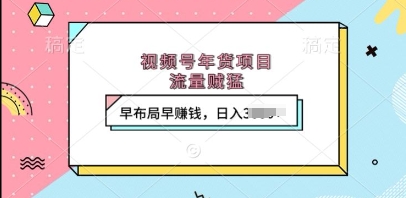 视频号年货项目，流量贼猛，早布局早挣钱，日入上k【揭秘】-第一资源网