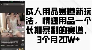 成人用品赛道新玩法，情趣用品一个长期暴利的赛道，3个月收益20个【揭秘】-第一资源网