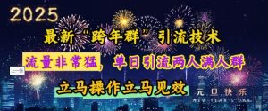 最新“跨年群”引流，流量非常猛，单日引流两人满人群，立马操作立马见效【揭秘】-第一资源网